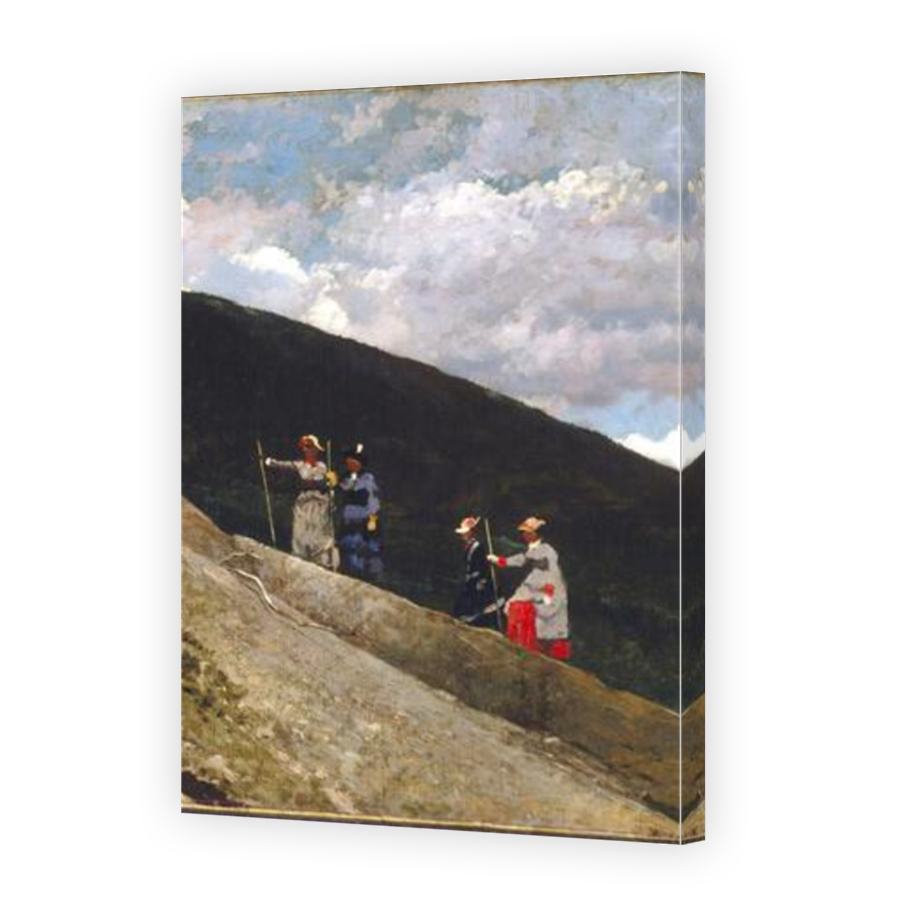 Thumbnail for Canvas - Mirror Image Canvas Wrap