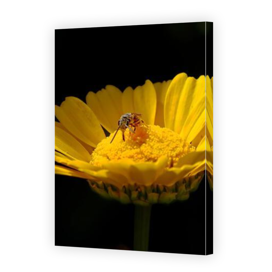 Thumbnail for Canvas - Mirror Image Canvas Wrap