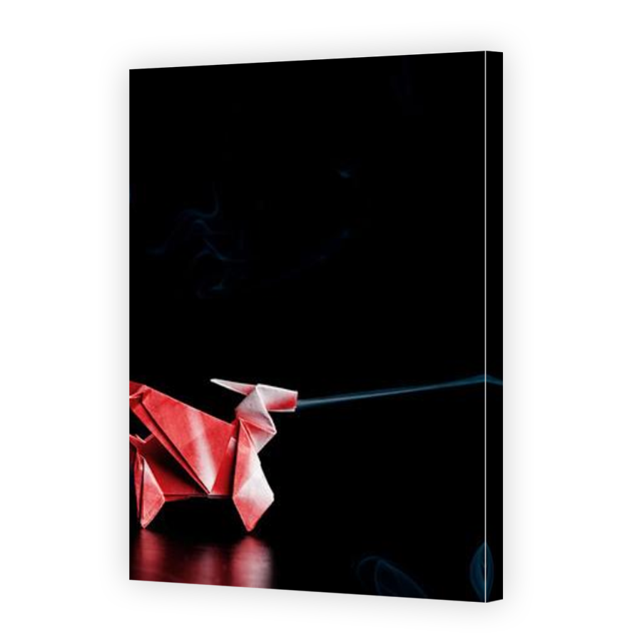 Thumbnail for Canvas - Mirror Image Canvas Wrap
