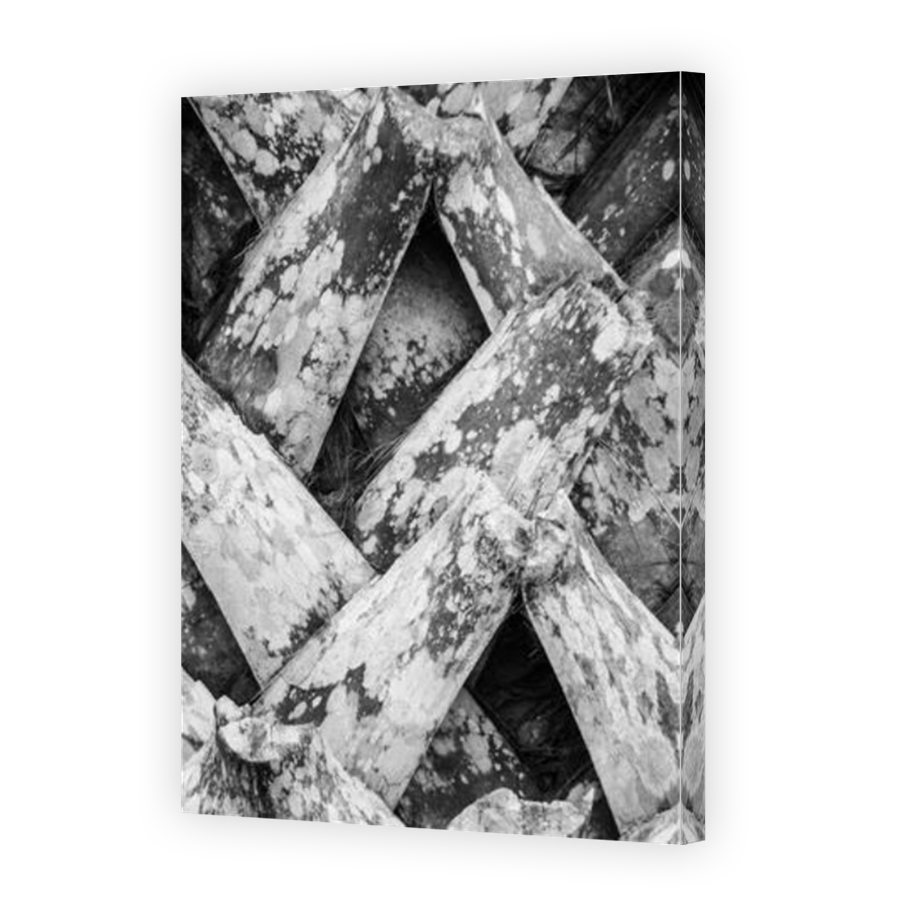 Thumbnail for Canvas - Mirror Image Canvas Wrap