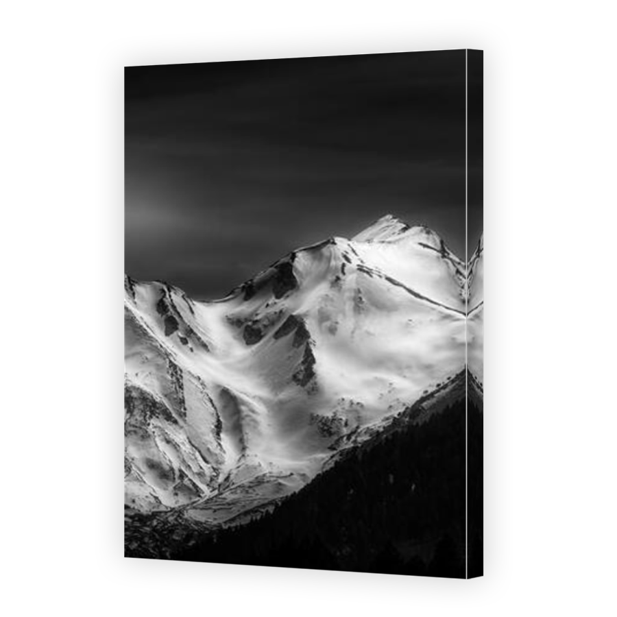 Thumbnail for Canvas - Mirror Image Canvas Wrap