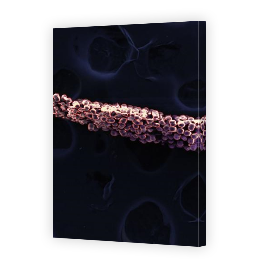Thumbnail for Canvas - Mirror Image Canvas Wrap