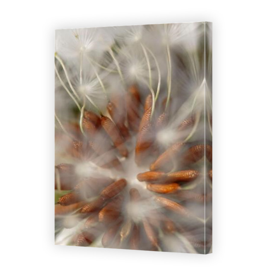 Thumbnail for Canvas - Mirror Image Canvas Wrap