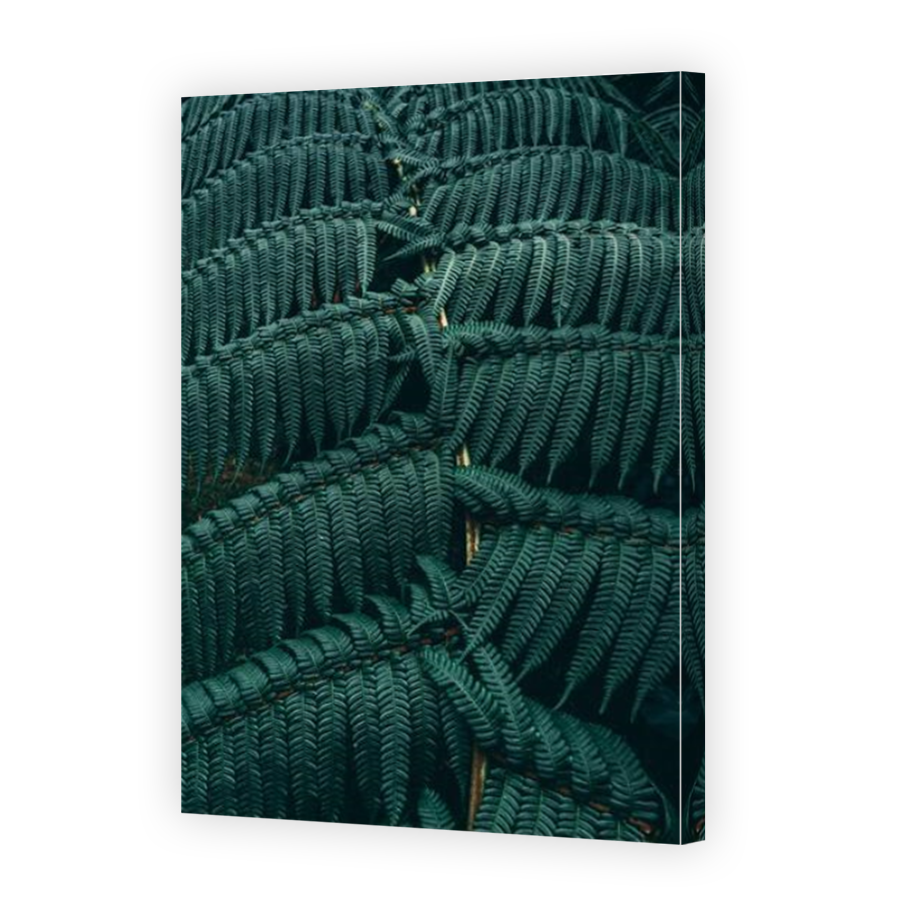 Thumbnail for Canvas - Mirror Image Canvas Wrap