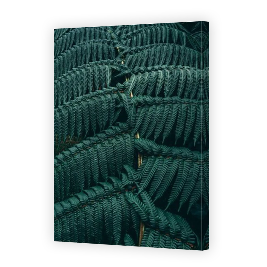 Thumbnail for Canvas - Mirror Image Canvas Wrap
