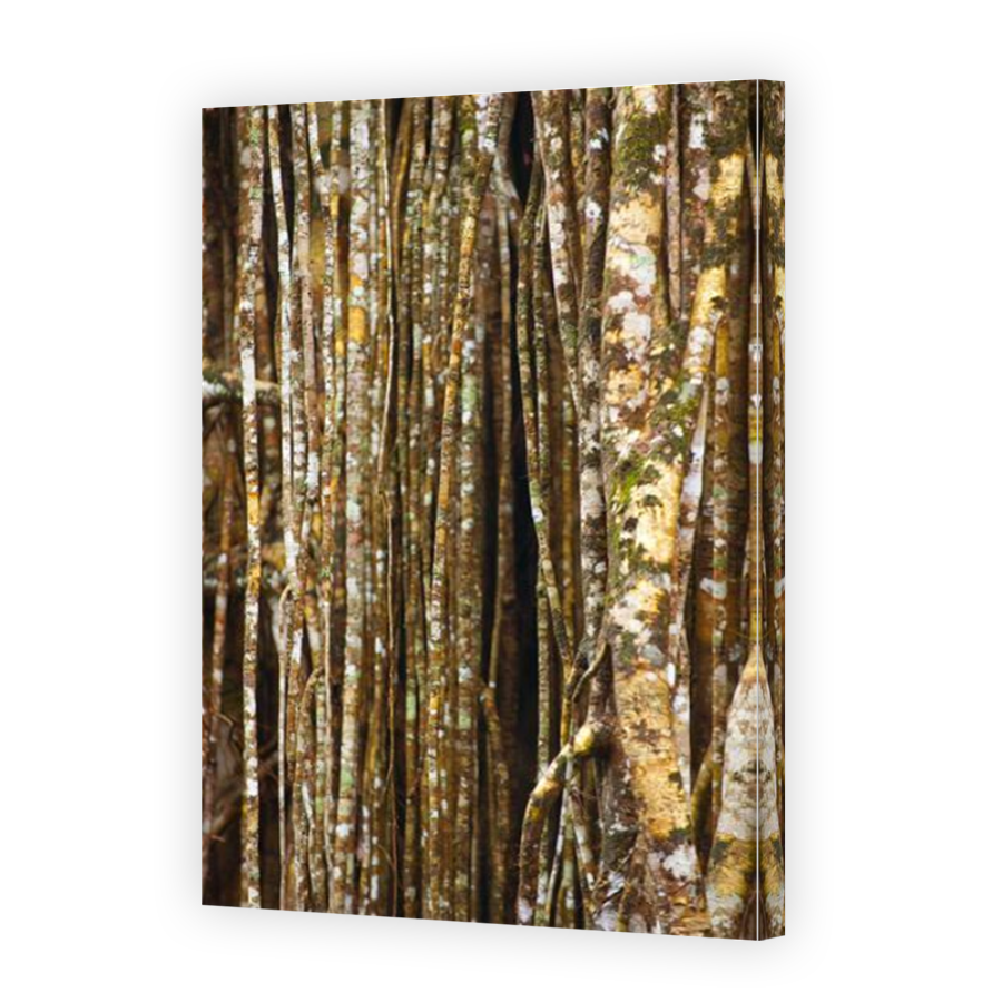Thumbnail for Canvas - Mirror Image Canvas Wrap