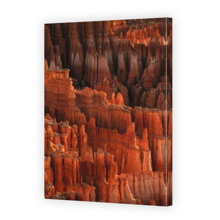 Thumbnail for Canvas - Mirror Image Canvas Wrap