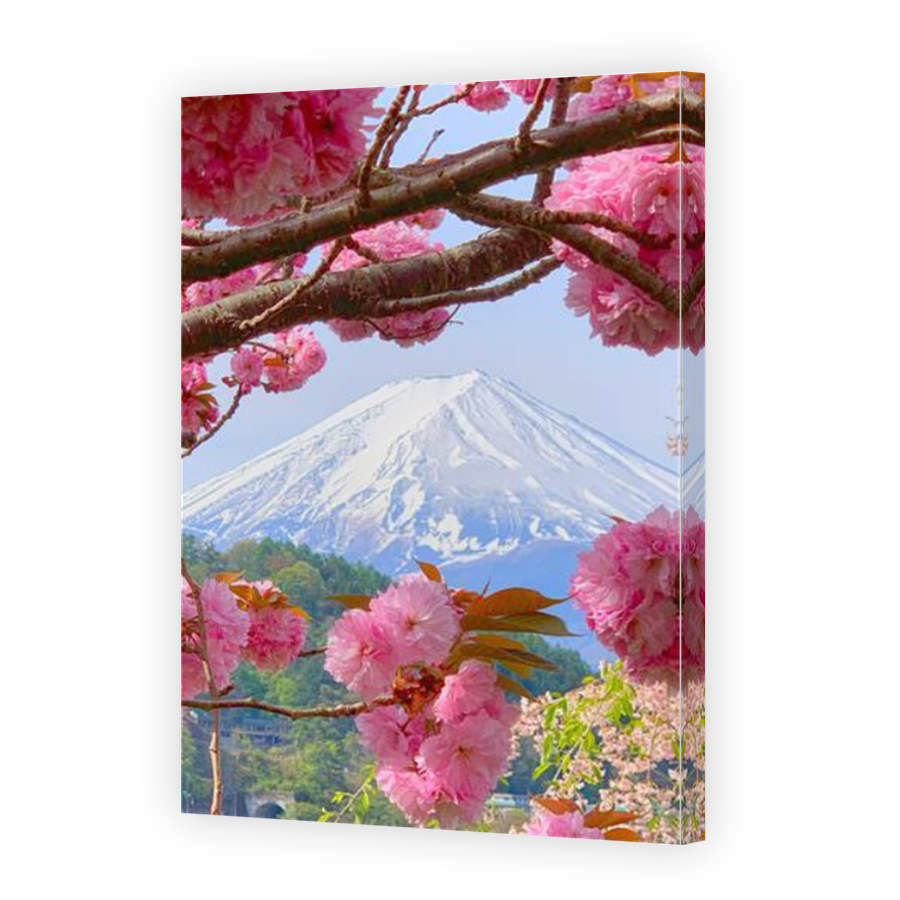 Thumbnail for Canvas - Mirror Image Canvas Wrap
