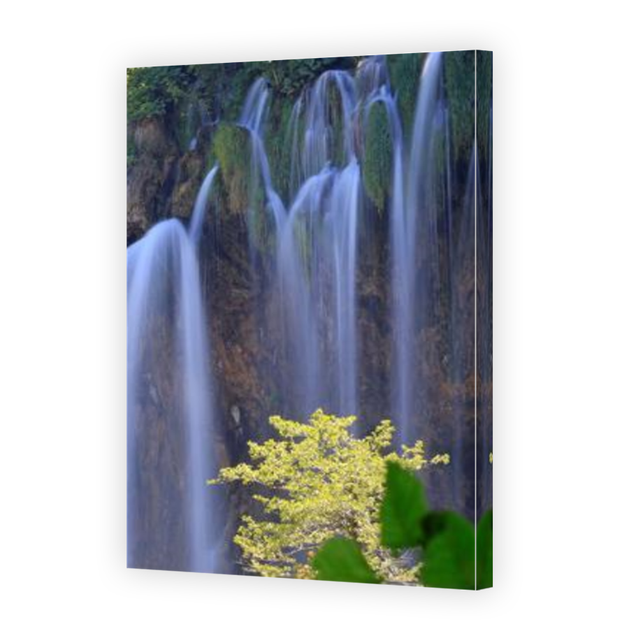Thumbnail for Canvas - Mirror Image Canvas Wrap