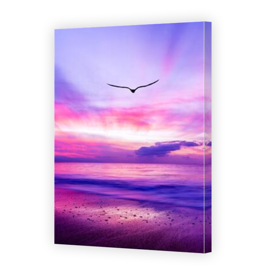 Thumbnail for Canvas - Mirror Image Canvas Wrap