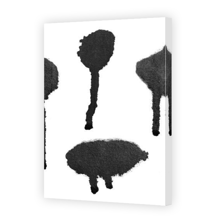 Thumbnail for Canvas - Mirror Image Canvas Wrap