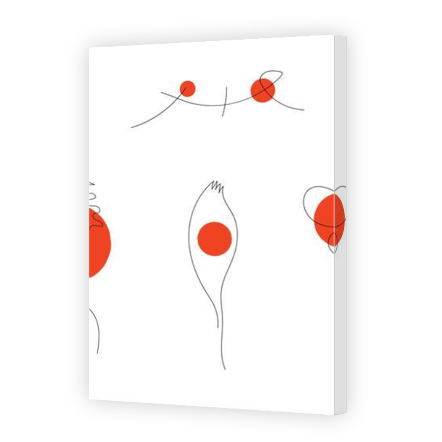 Thumbnail for Canvas - Mirror Image Canvas Wrap