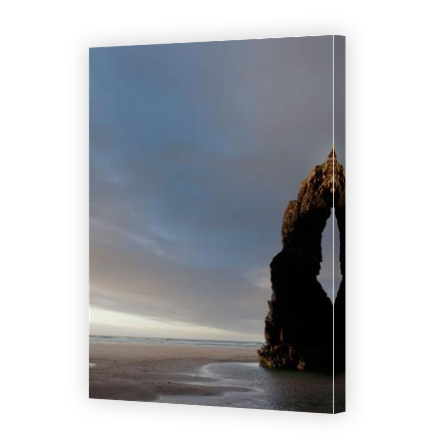 Thumbnail for Canvas - Mirror Image Canvas Wrap
