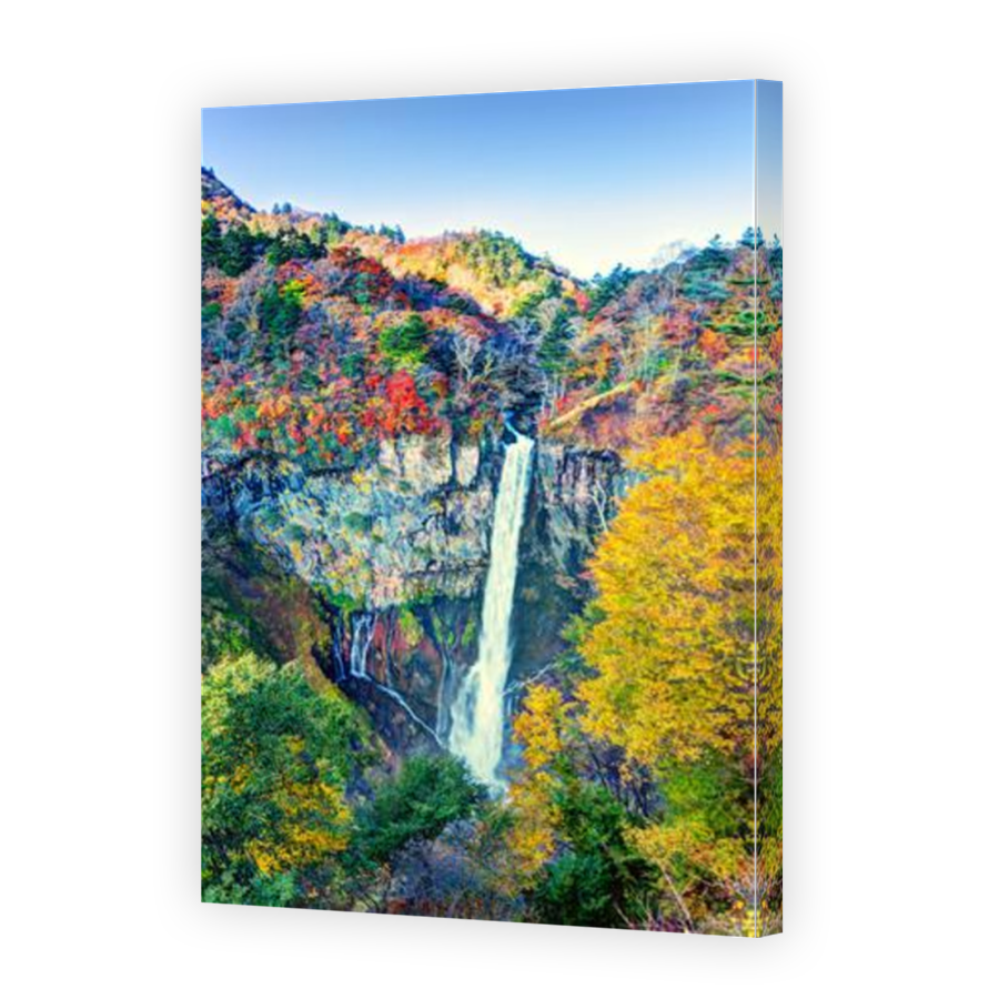 Thumbnail for Canvas - Mirror Image Canvas Wrap