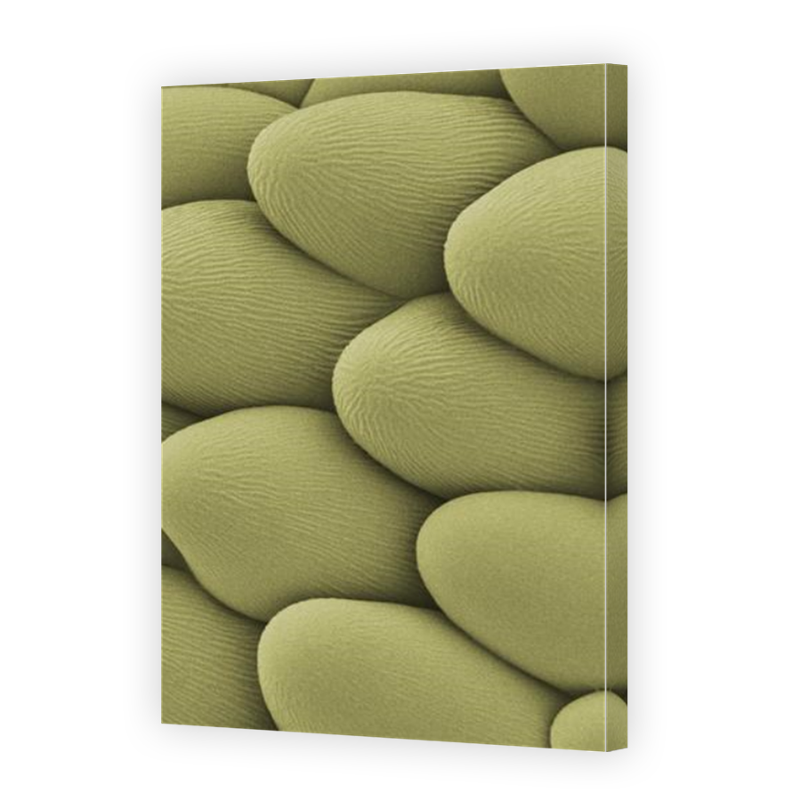 Thumbnail for Canvas - Mirror Image Canvas Wrap