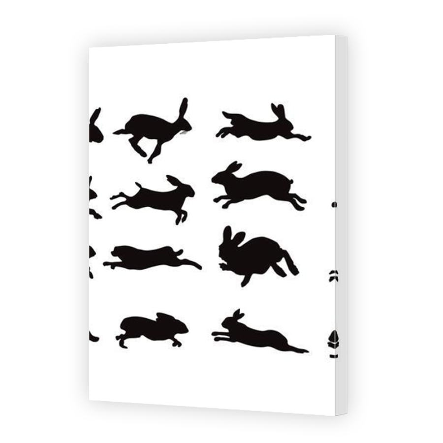 Thumbnail for Canvas - Mirror Image Canvas Wrap