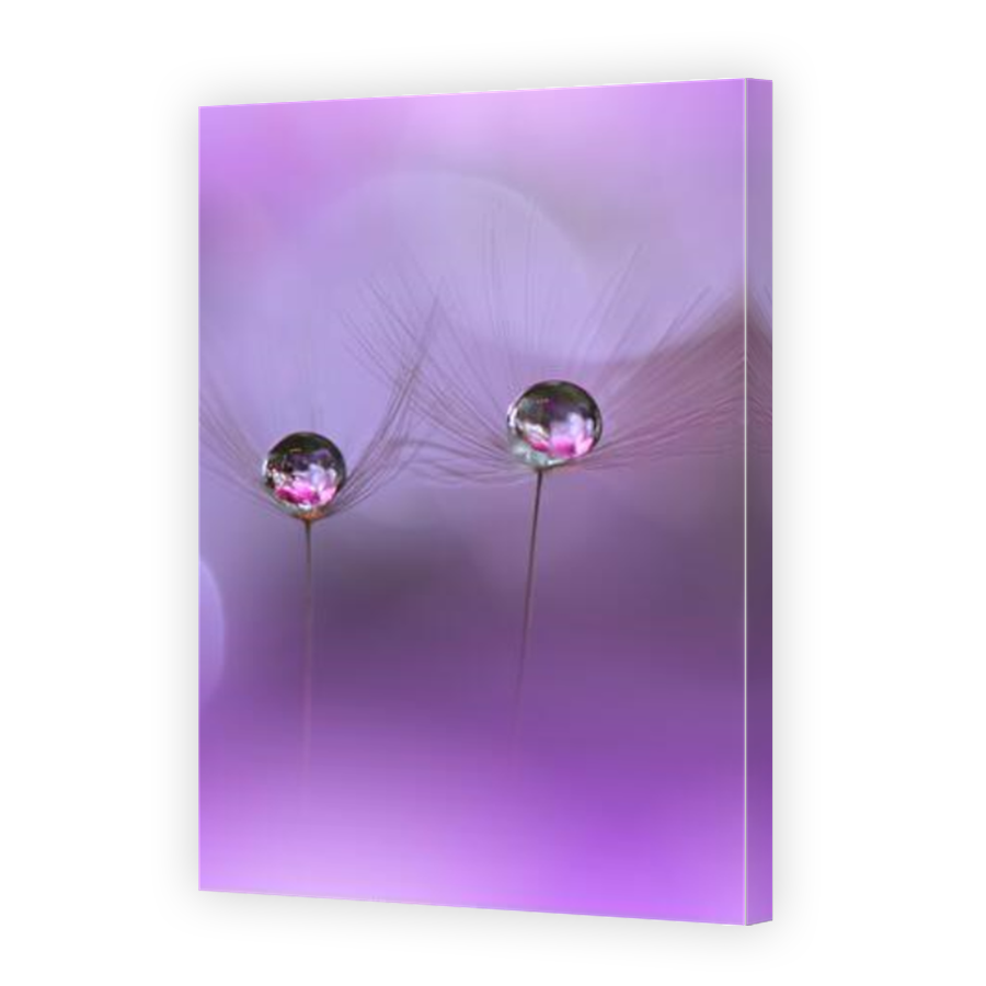 Thumbnail for Canvas - Mirror Image Canvas Wrap