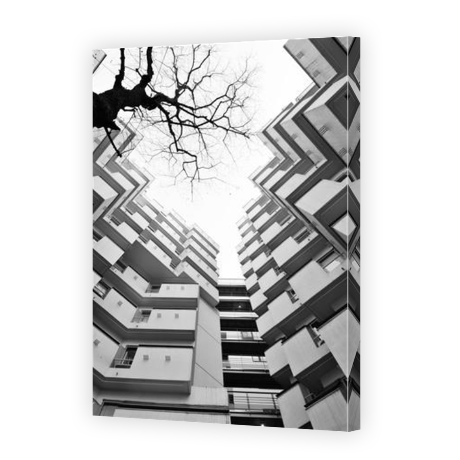 Thumbnail for Canvas - Mirror Image Canvas Wrap