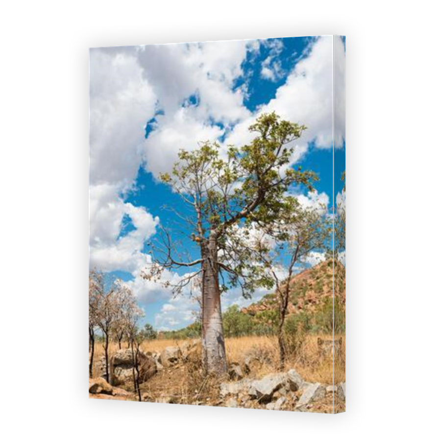 Thumbnail for Canvas - Mirror Image Canvas Wrap