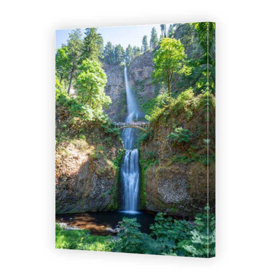 Thumbnail for Canvas - Mirror Image Canvas Wrap