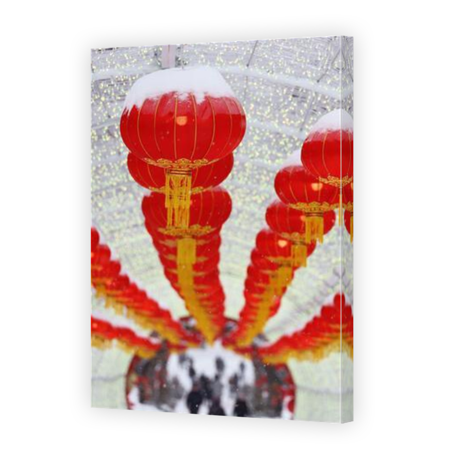 Thumbnail for Canvas - Mirror Image Canvas Wrap