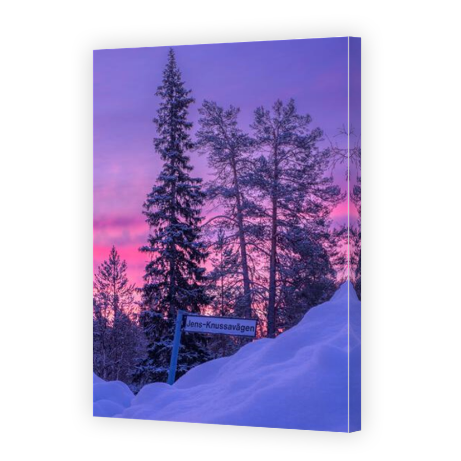 Thumbnail for Canvas - Mirror Image Canvas Wrap