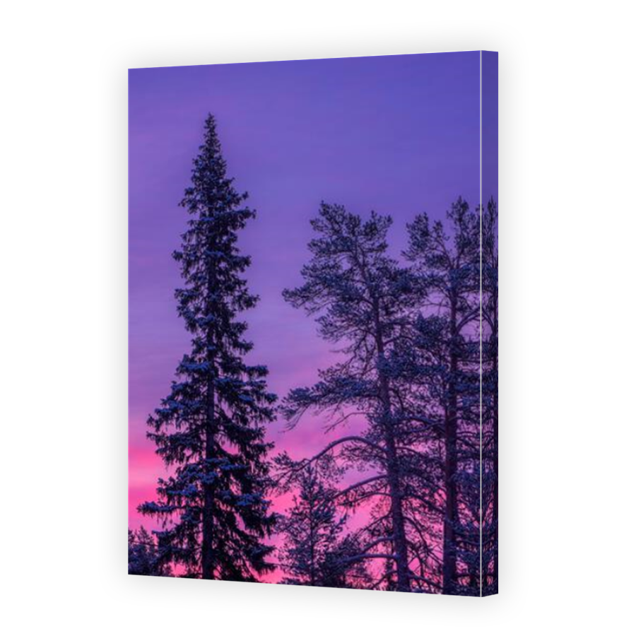 Thumbnail for Canvas - Mirror Image Canvas Wrap