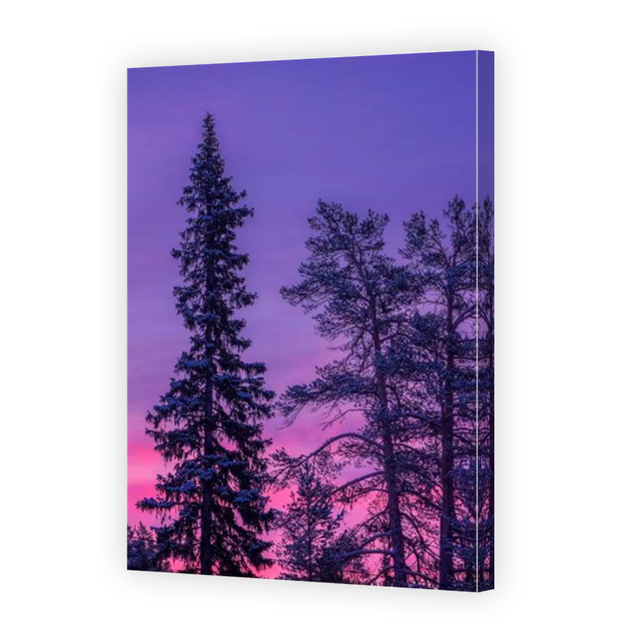 Thumbnail for Canvas - Mirror Image Canvas Wrap