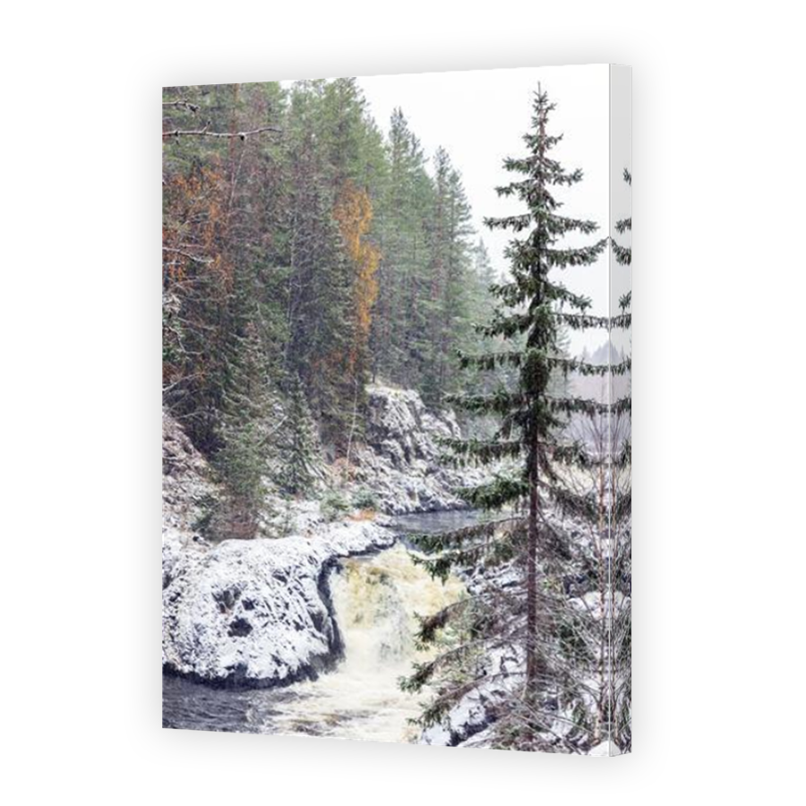 Thumbnail for Canvas - Mirror Image Canvas Wrap