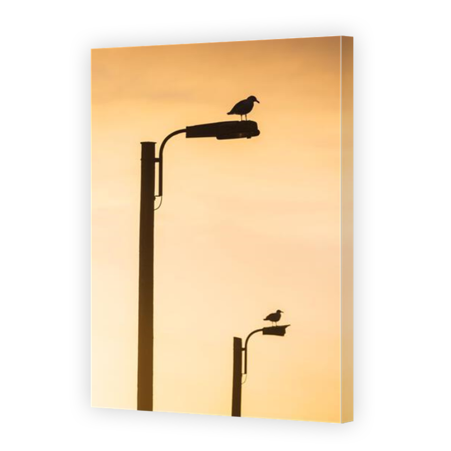 Thumbnail for Canvas - Mirror Image Canvas Wrap