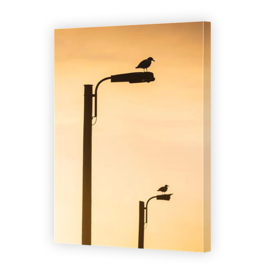 Thumbnail for Canvas - Mirror Image Canvas Wrap