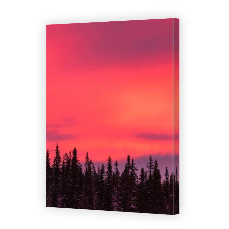 Thumbnail for Canvas - Mirror Image Canvas Wrap