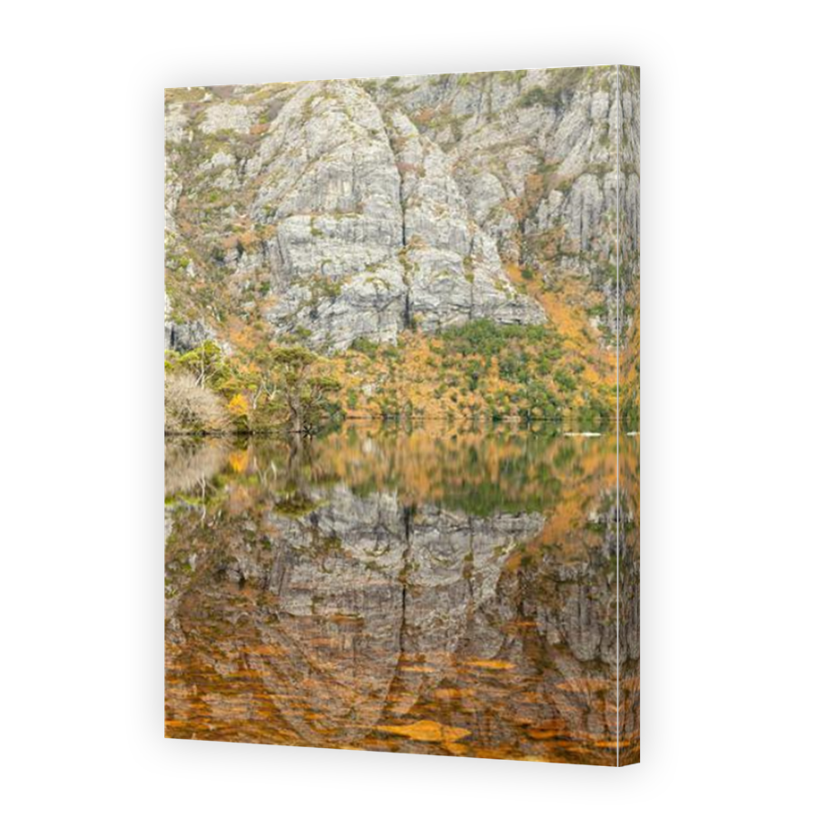 Thumbnail for Canvas - Mirror Image Canvas Wrap