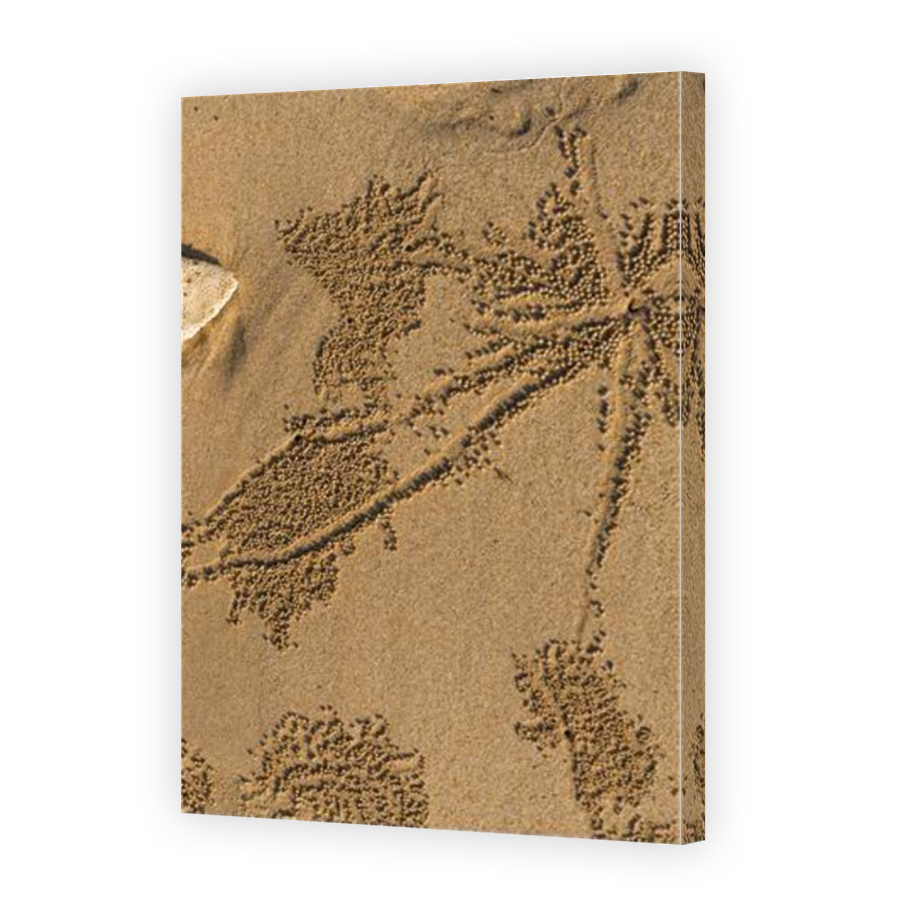 Thumbnail for Canvas - Mirror Image Canvas Wrap