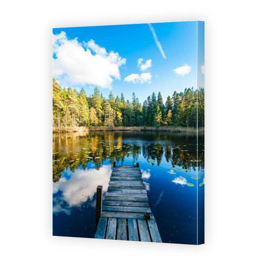 Thumbnail for Canvas - Mirror Image Canvas Wrap