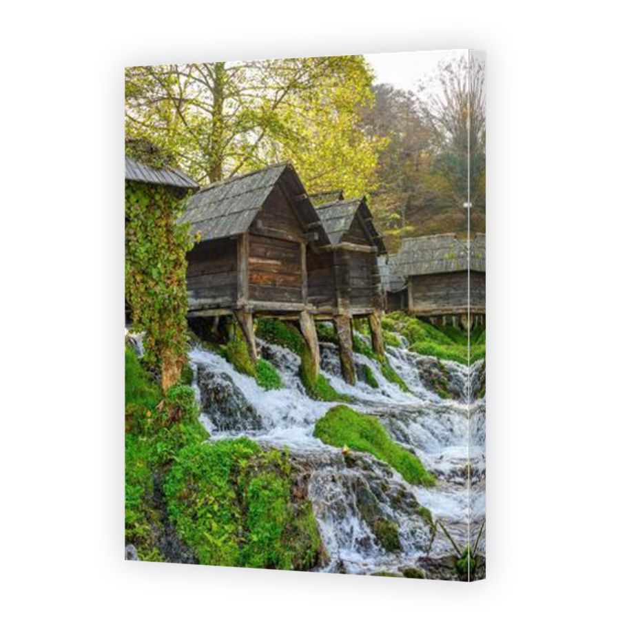Thumbnail for Canvas - Mirror Image Canvas Wrap