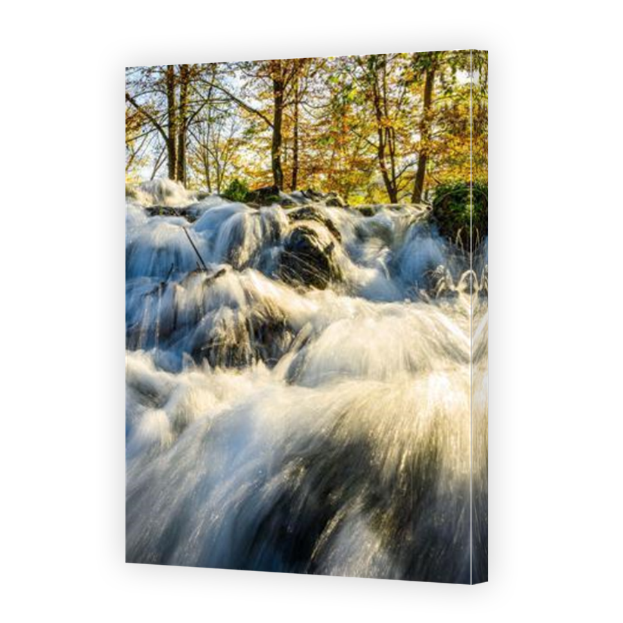 Thumbnail for Canvas - Mirror Image Canvas Wrap