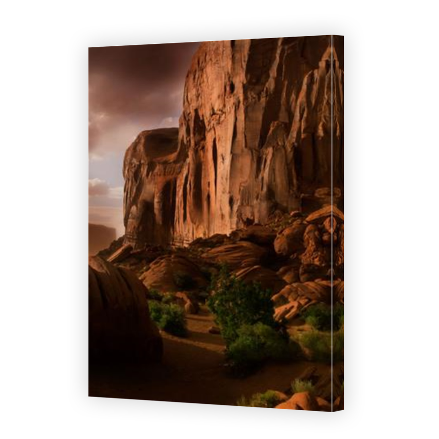 Thumbnail for Canvas - Mirror Image Canvas Wrap