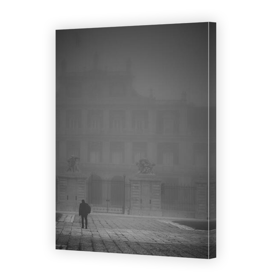 Thumbnail for Canvas - Mirror Image Canvas Wrap
