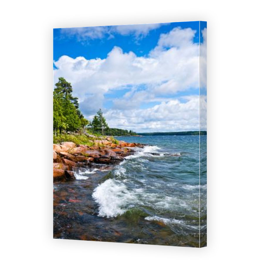 Thumbnail for Canvas - Mirror Image Canvas Wrap