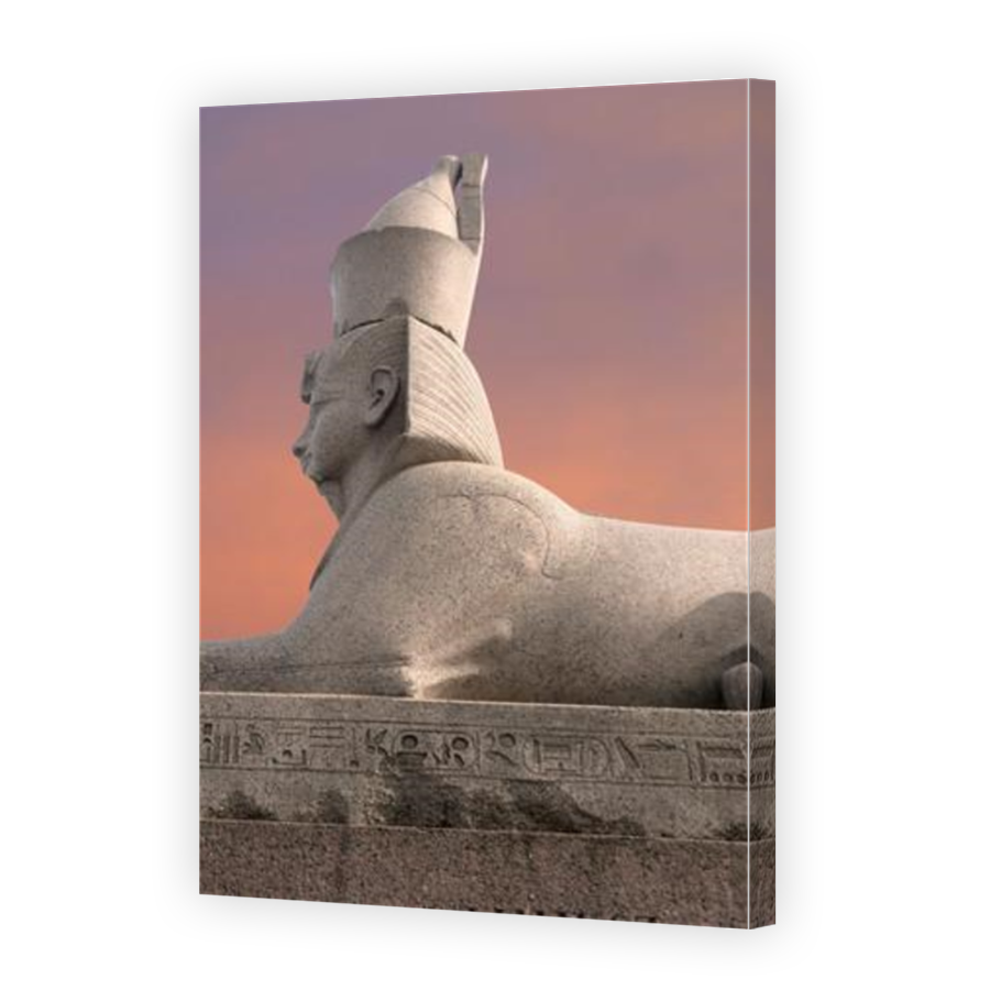 Thumbnail for Canvas - Mirror Image Canvas Wrap