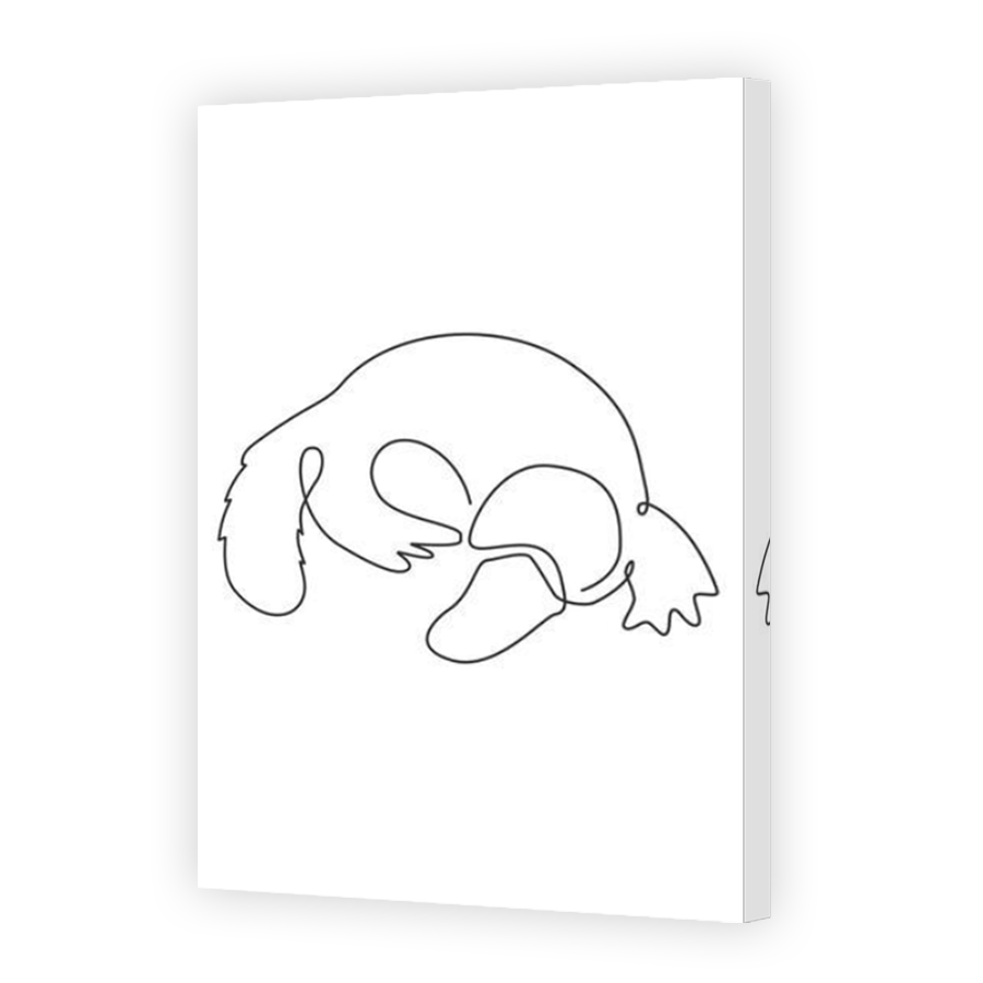 Thumbnail for Canvas - Mirror Image Canvas Wrap
