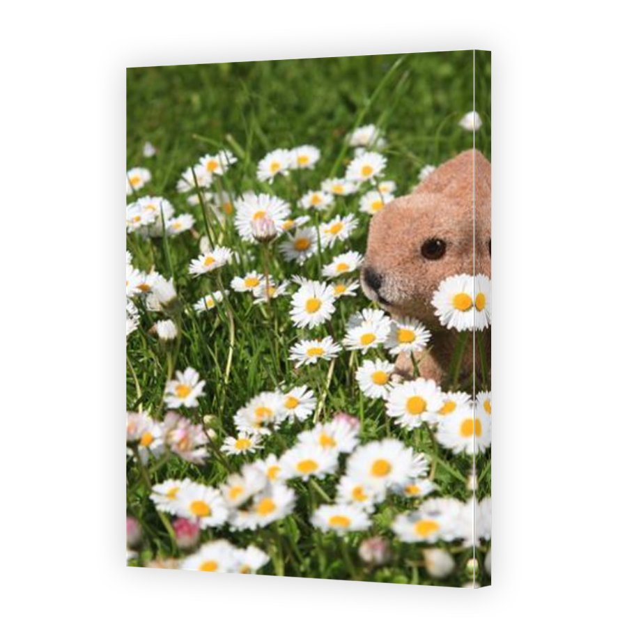 Thumbnail for Canvas - Mirror Image Canvas Wrap