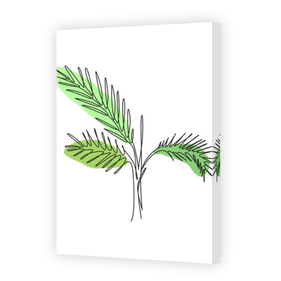 Thumbnail for Canvas - Mirror Image Canvas Wrap