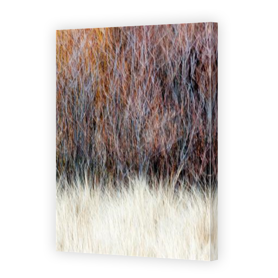 Thumbnail for Canvas - Mirror Image Canvas Wrap
