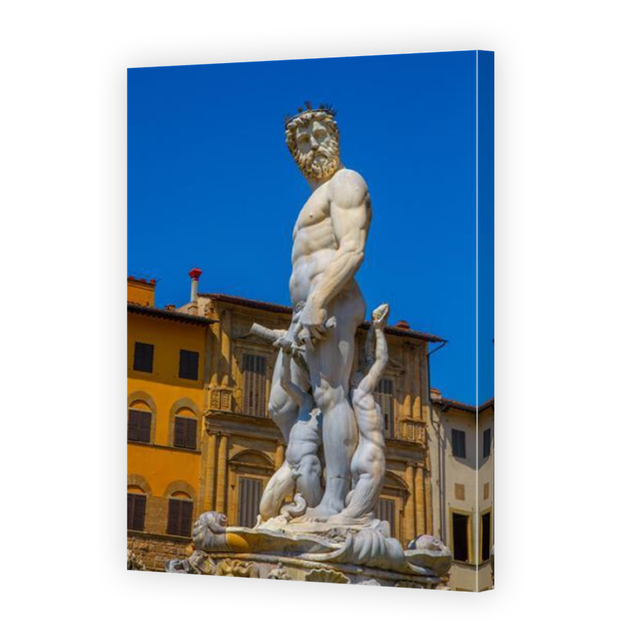 Thumbnail for Canvas - Mirror Image Canvas Wrap