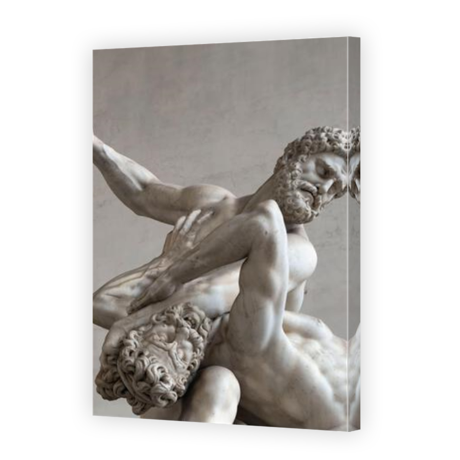 Thumbnail for Canvas - Mirror Image Canvas Wrap