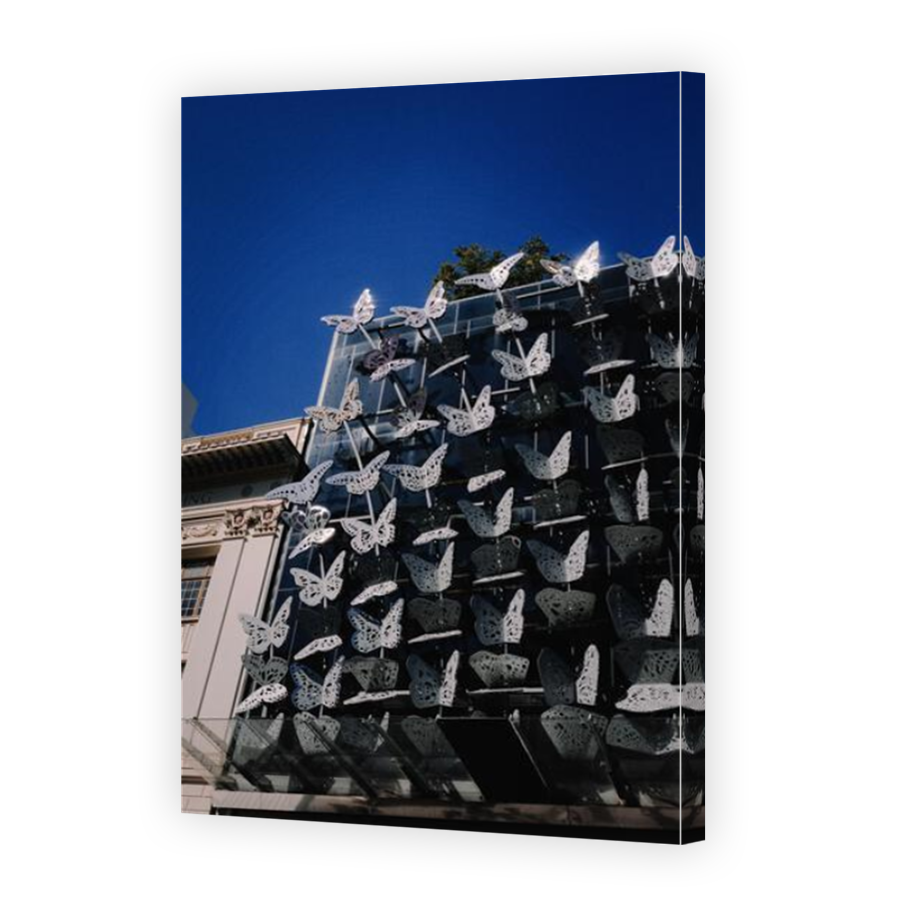 Thumbnail for Canvas - Mirror Image Canvas Wrap