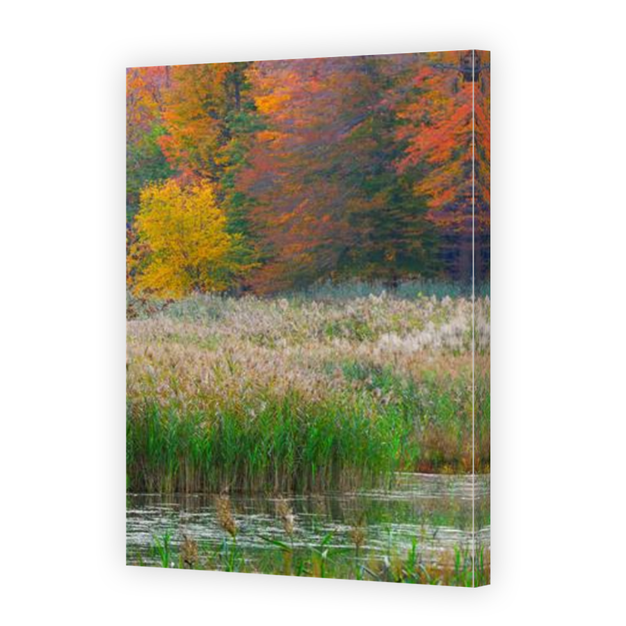 Thumbnail for Canvas - Mirror Image Canvas Wrap