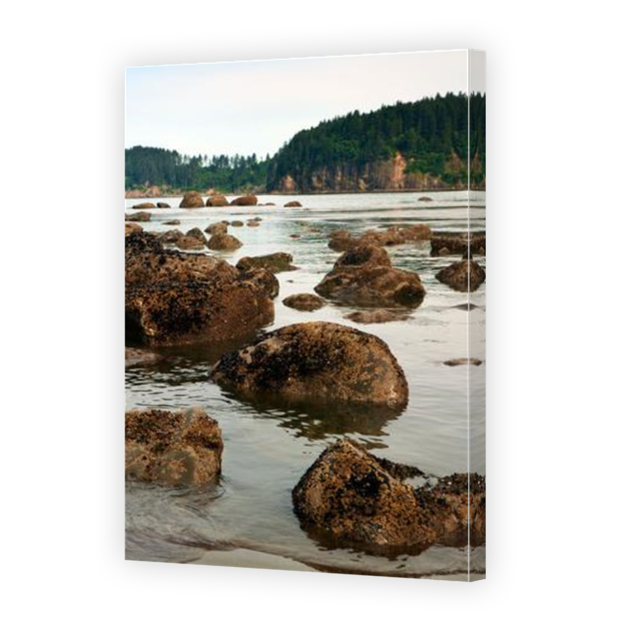 Thumbnail for Canvas - Mirror Image Canvas Wrap